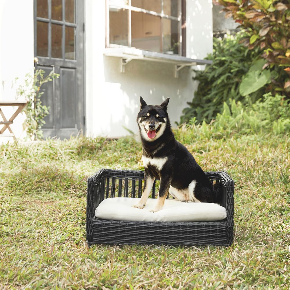 Indoor Outdoor Rattan Cat or Small Dog Bed Water Resistant - anydaydirect