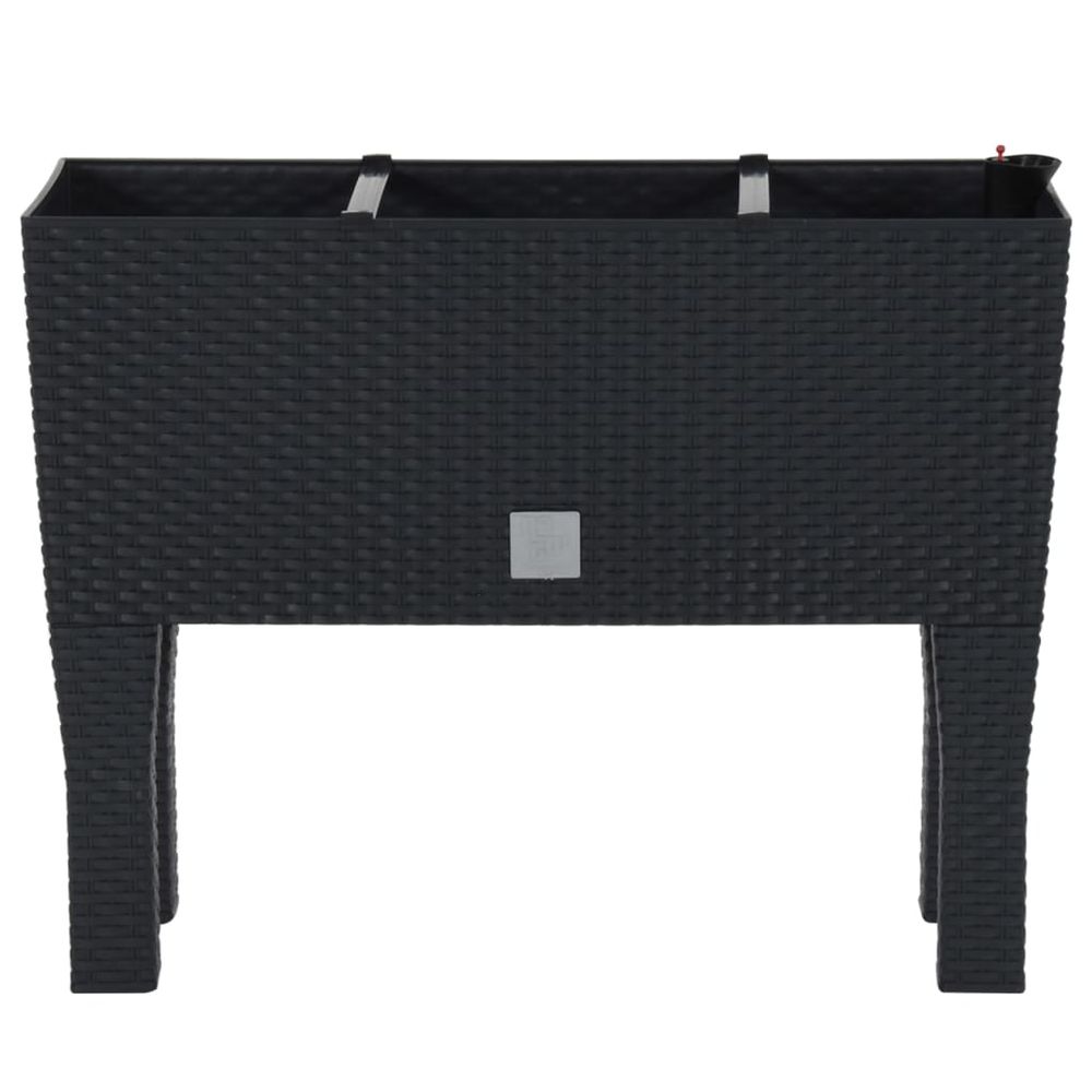 Raised Garden Bed Anthracite 60x25x46 cm PP Rattan - anydaydirect