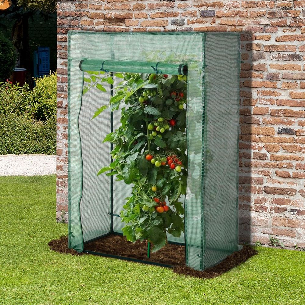 100 x 50 x 150cm Greenhouse w/ Zipper Roll-up Door Outdoor Green - anydaydirect