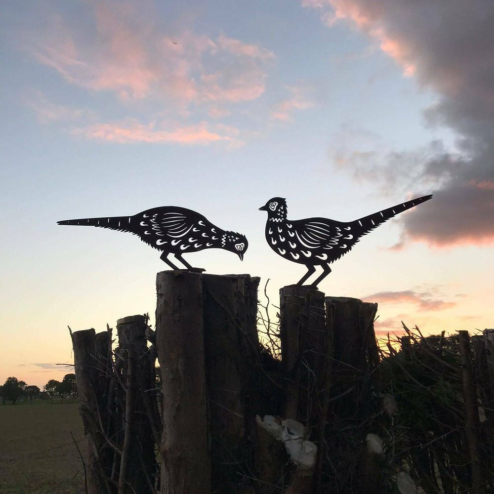 2 Metal BIRDS PHEASANTS Garden sign Ornament decoration christmas gift - anydaydirect