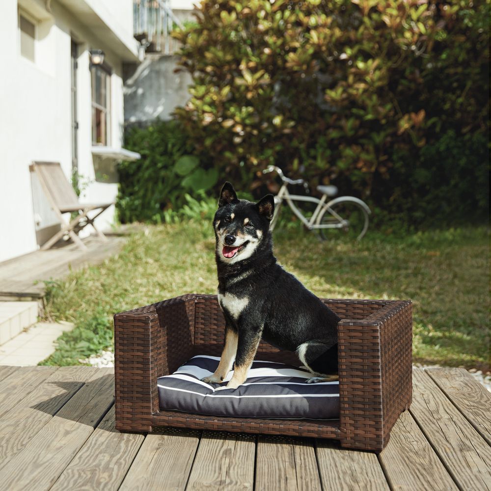 Indoor Outdoor Rattan Cat or Dog Elevated Rattan Bed ST-N10005-UK - anydaydirect