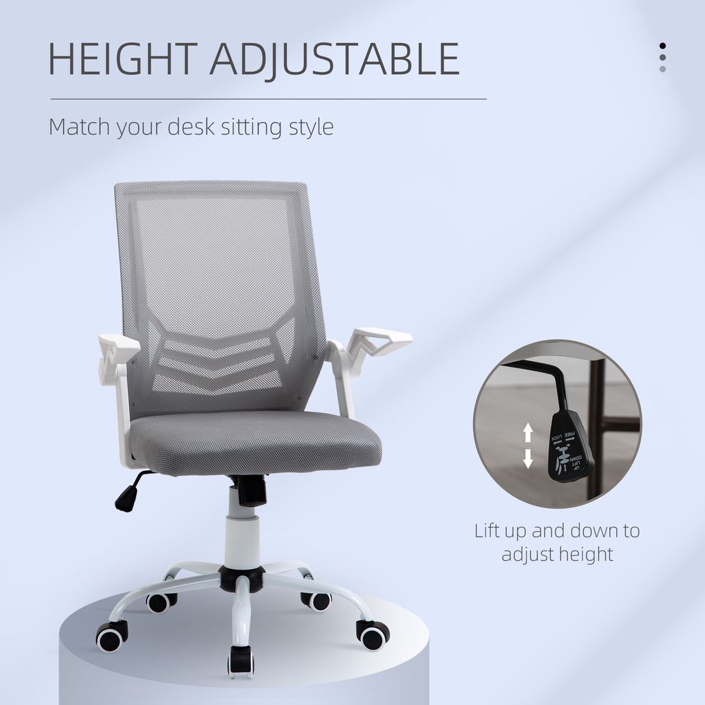 Mesh Swivel Office Chair Task Computer Chair w/ Lumbar Support, Grey Vinsetto - anydaydirect