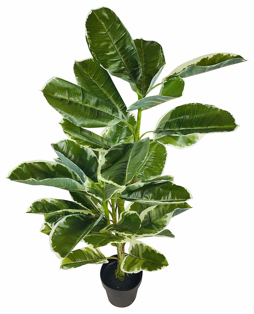 Artificial Large 110cm Rubber Ficus - anydaydirect