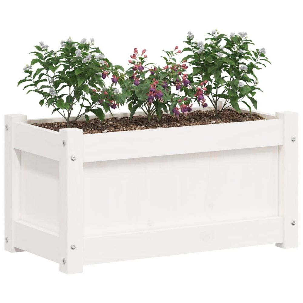 vidaXL Garden Planter White 60x31x31 cm Solid Wood Pine - anydaydirect