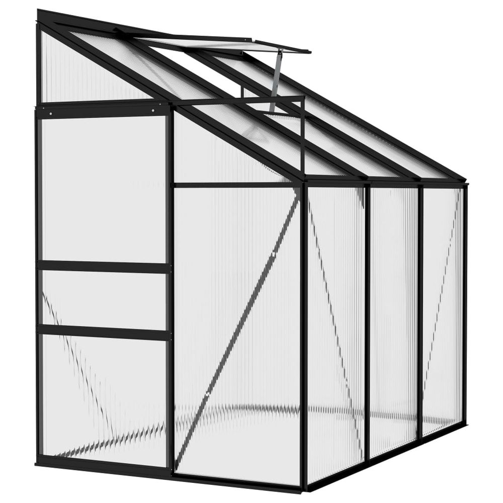 Greenhouse Anthracite Aluminium 3.8 m³ - anydaydirect