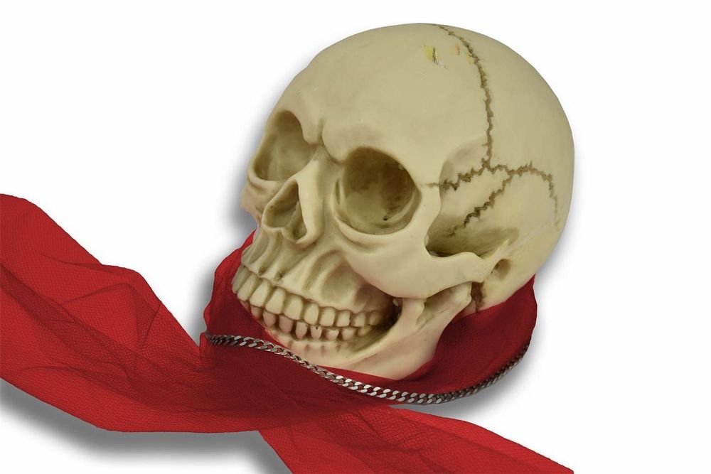 Original Size Halloween Skull Decoration - anydaydirect