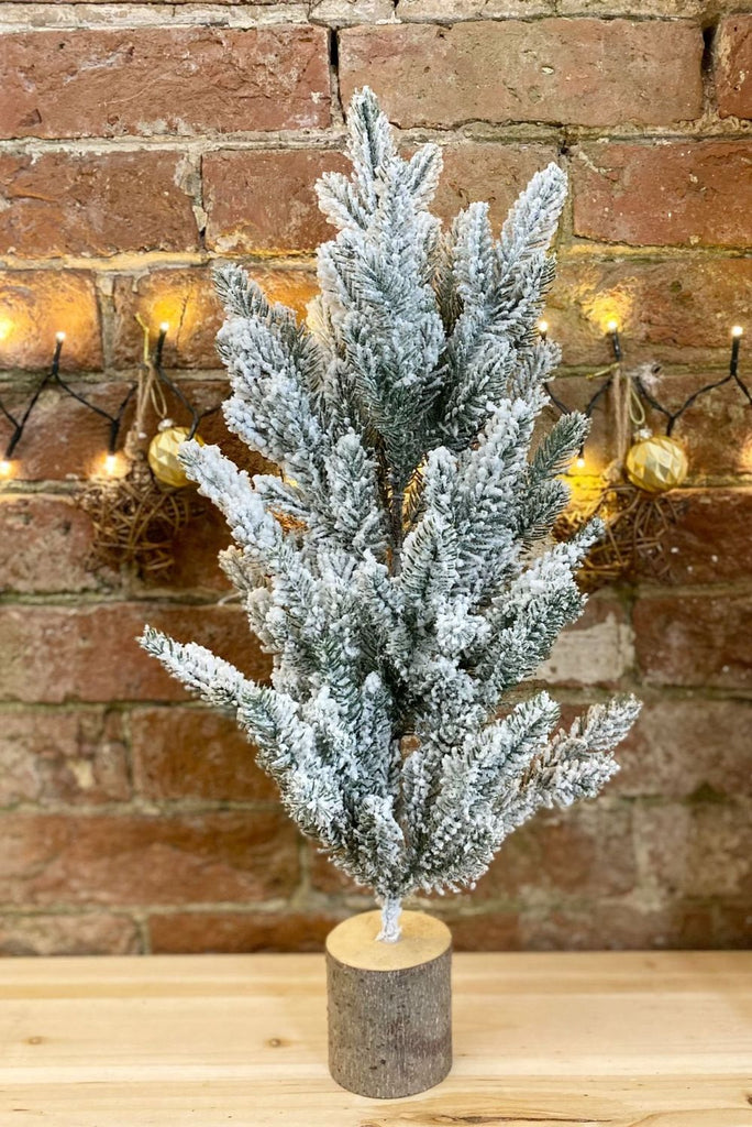 Tall Frosted Christmas Tree In Log 56cm - anydaydirect