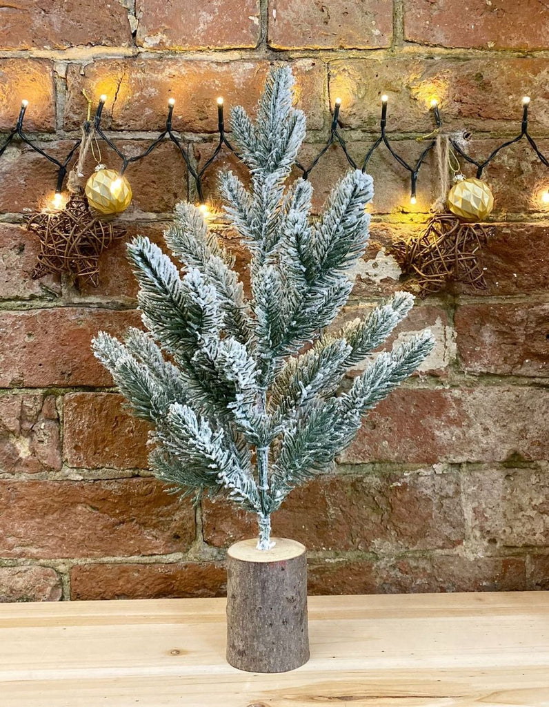 Small Frosted Christmas Tree In Log 43cm - anydaydirect