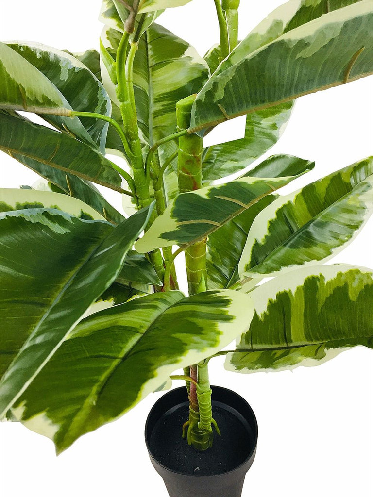 Artificial Large 110cm Rubber Ficus - anydaydirect