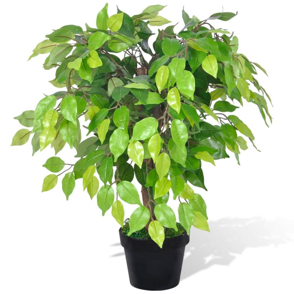 Artificial Dwarf Ficus with Pot 60 cm - anydaydirect