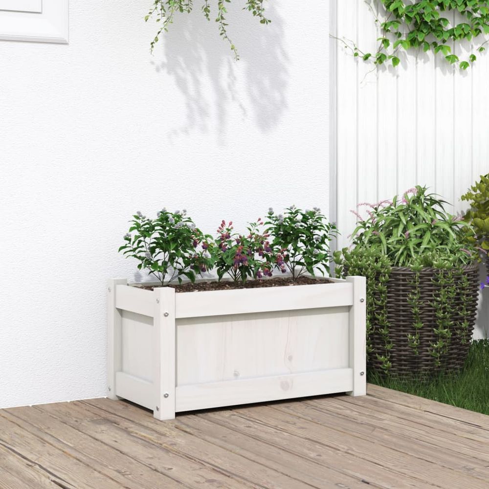 vidaXL Garden Planter White 60x31x31 cm Solid Wood Pine - anydaydirect