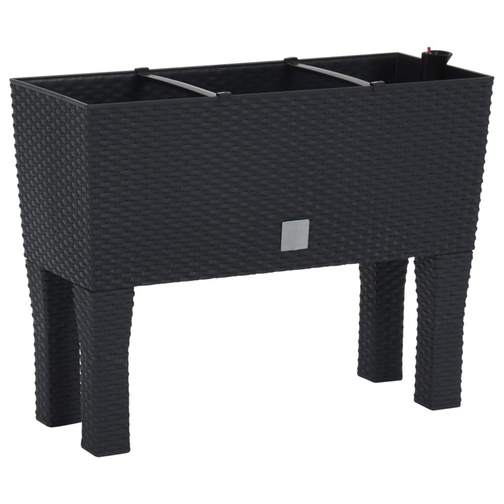 Raised Garden Bed Anthracite 60x25x46 cm PP Rattan - anydaydirect