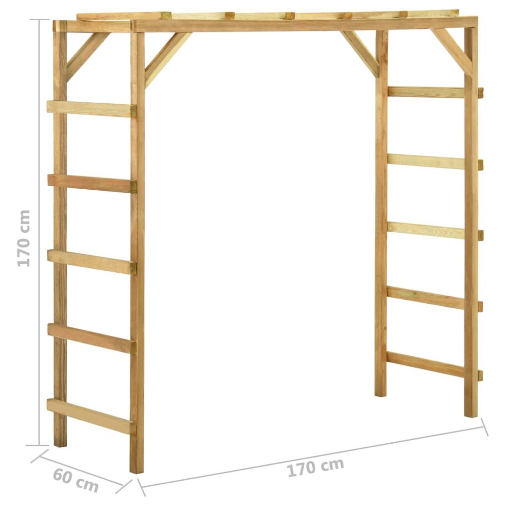 Outdoor Climbing Rack 170x60x170 cm Solid Pine Wood - anydaydirect